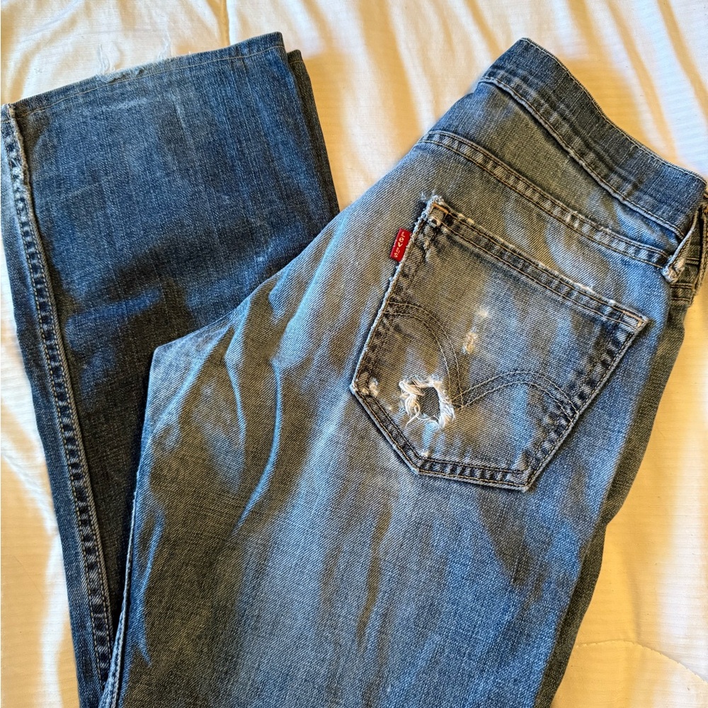 Levi's Women's Blue Jeans